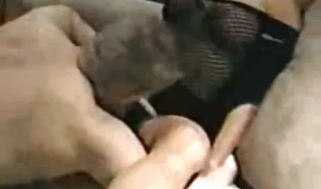 Mò xxx nhật mẫm dương vật của đàn ông ngồi trong âm đạo của mặt, ép âm đạo trên môi