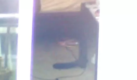 Lucy. xxx video nhật bản